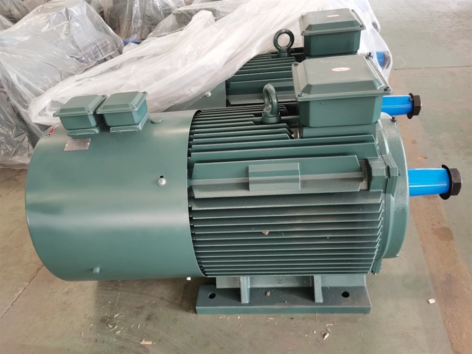 Crane Electric Motor